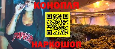 МДПВ Камышлов